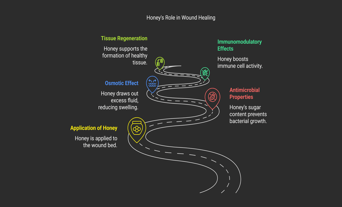 Mechanisms Of Honey In Wound Healing