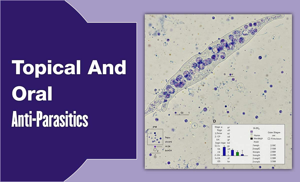 Topical And Oral Anti-Parasitics