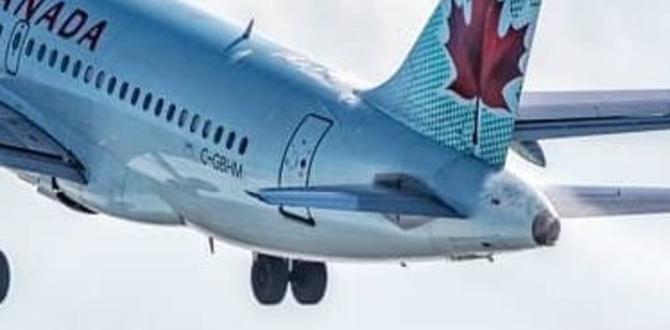 cheap women's skin routine for women