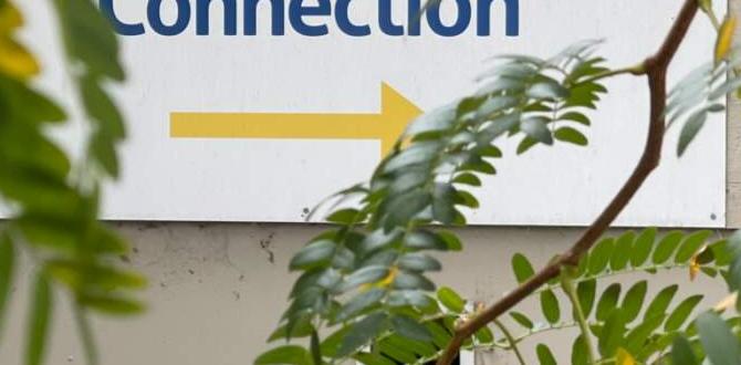 connection for neurodermatology connection for neurodermatology