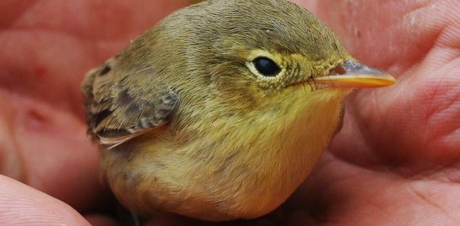 gentle teenage skin routine without toner