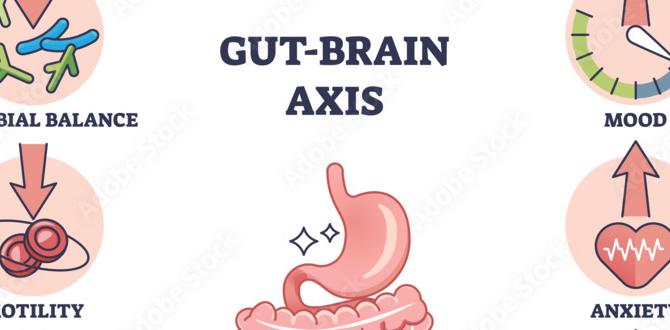 gut brain skin remedy explained