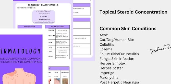neurodermatology guide explained neurodermatology guide explained
