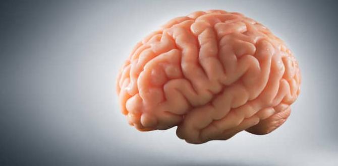 neuroplasticity and skin recovery neuroplasticity and skin recovery