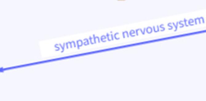 plan in brain skin axis plan in brain skin axis