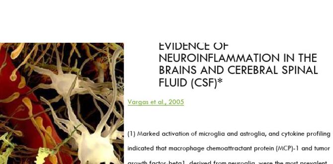 techniques in brain inflammation skin techniques in brain inflammation skin