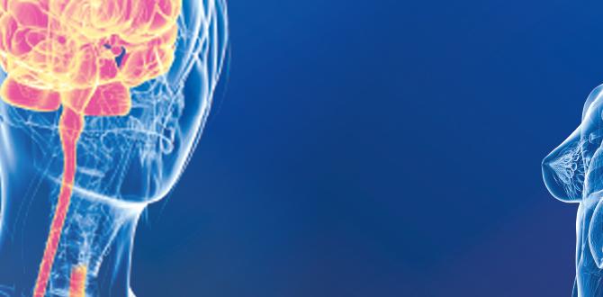techniques to improve gut brain skin techniques to improve gut brain skin