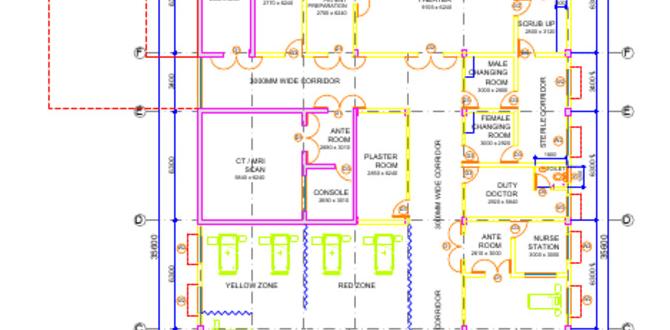 trauma and skin plan explained trauma and skin plan explained