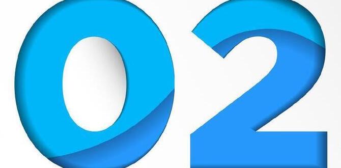 2025 korean skin routine pdf