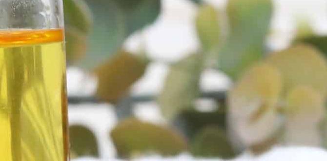 DIY anti aging skin care routine with serum