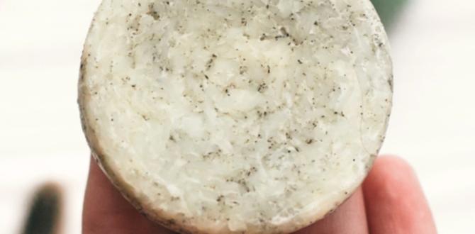 DIY natural deodorants recipes DIY natural deodorants recipes