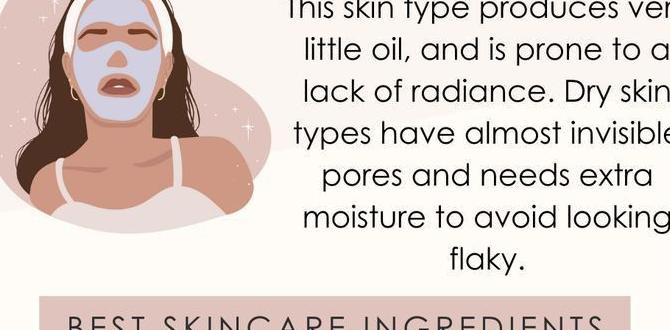 Essential ingredients for a dry skin routine 2025 dry skin routine pdf Essential ingredients for a dry skin routine 2025 dry skin routine pdf