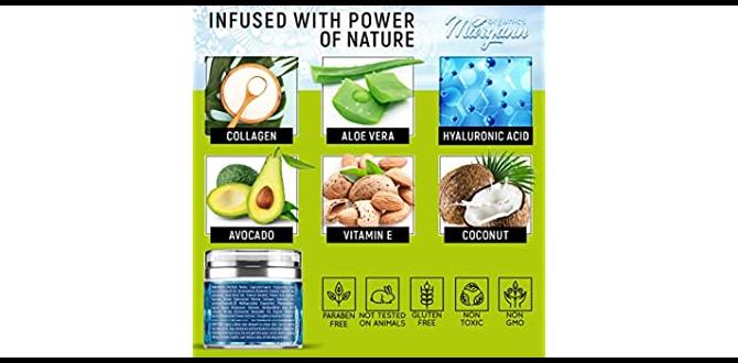 Essential ingredients for antiaging organic anti aging skin care routine for aging skin Essential ingredients for antiaging organic anti aging skin care routine for aging skin