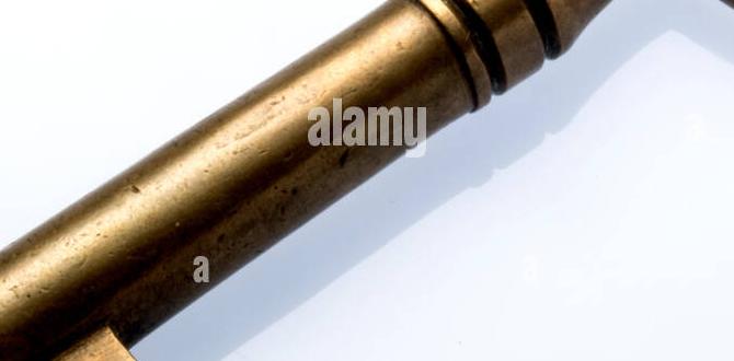 Key ingredients to look for in skin care products easy best skin care products before makeup Key ingredients to look for in skin care products easy best skin care products before makeup