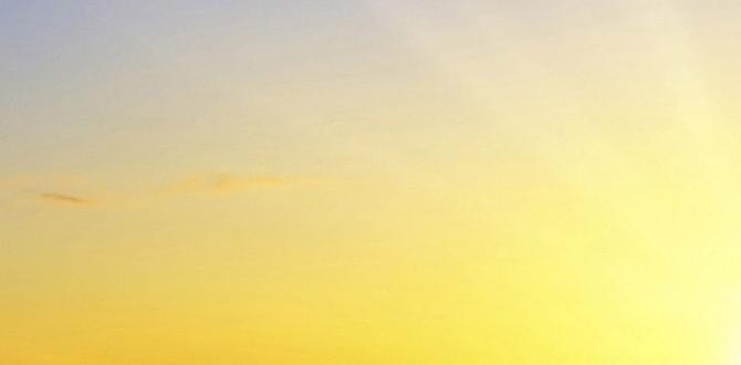 Morning moisturization and protection simple daily skin routine night and day Morning moisturization and protection simple daily skin routine night and day