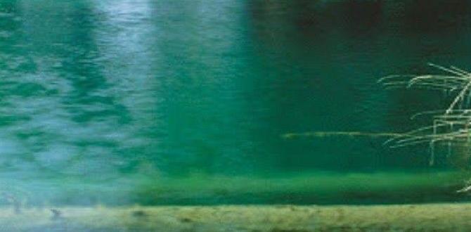 Natural and diy options expert night skin care routine tips Natural and diy options expert night skin care routine tips