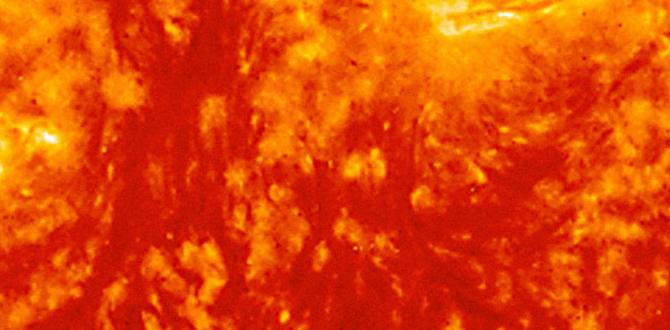 Sun protection and its importance weekly skin care for beginners for teens Sun protection and its importance weekly skin care for beginners for teens