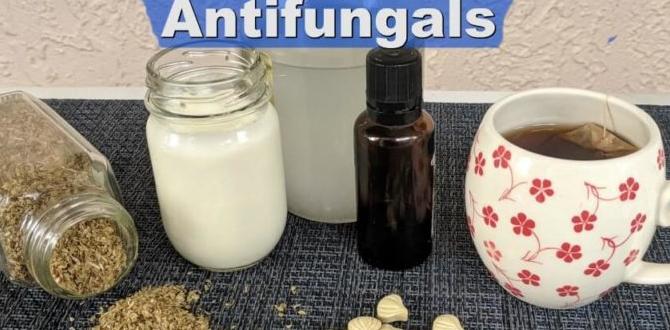 antifungal herbs for skin infections antifungal herbs for skin infections