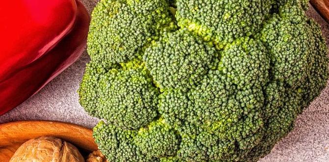 antioxidant rich foods for aging skin antioxidant rich foods for aging skin