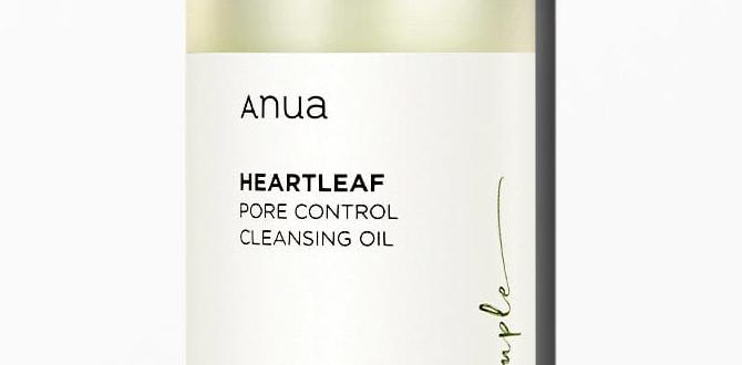 anua skincare how to