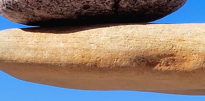 balance skin microbiome bacteria