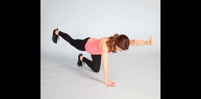 beginner core strengthening workout moves beginner core strengthening workout moves