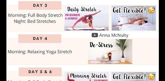 beginner friendly flexibility plan beginner friendly flexibility plan