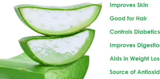 benefits of aloe vera for body skin hydration benefits of aloe vera for body skin hydration
