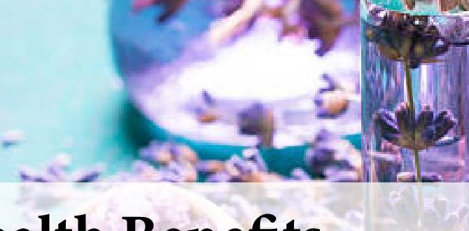 benefits of lavender oil for body relaxation benefits of lavender oil for body relaxation