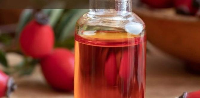 benefits of rosehip oil for body skin