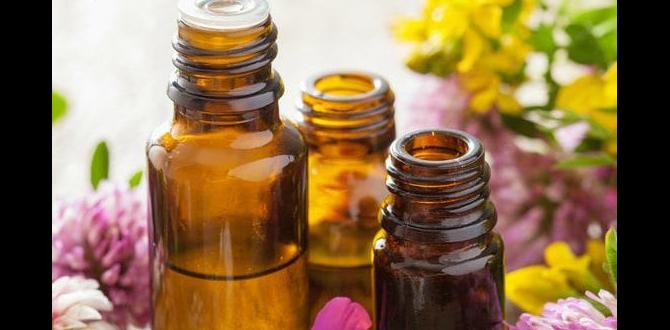 best essential oils for body relaxation best essential oils for body relaxation
