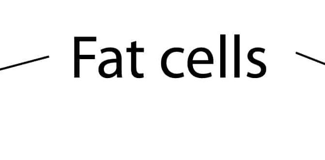 cellulite reduction exercises and remedies cellulite reduction exercises and remedies