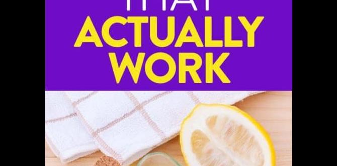 cheap morning skin care on a budget cheap morning skin care on a budget