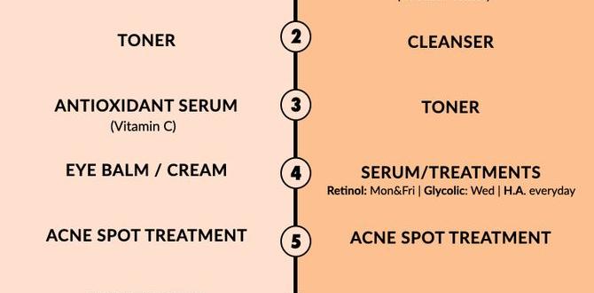 cheap night skin care routine routine plan cheap night skin care routine routine plan