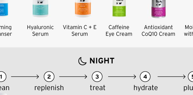 customized dry skin routine on a budget customized dry skin routine on a budget
