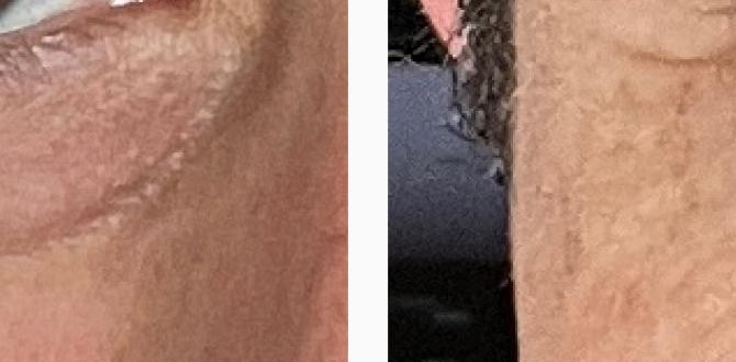 daily anti aging skin care routine without toner daily anti aging skin care routine without toner