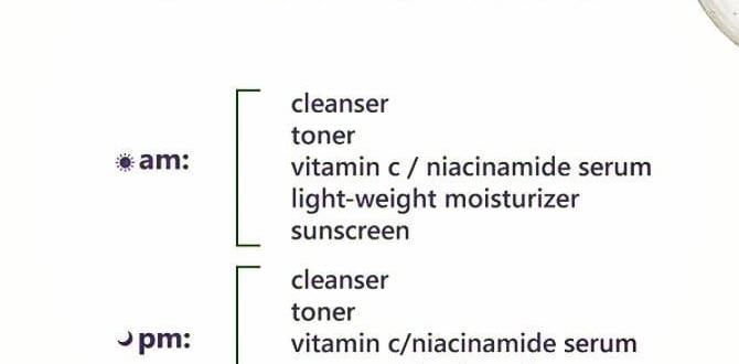 daily black skin care routine for oily skin daily black skin care routine for oily skin