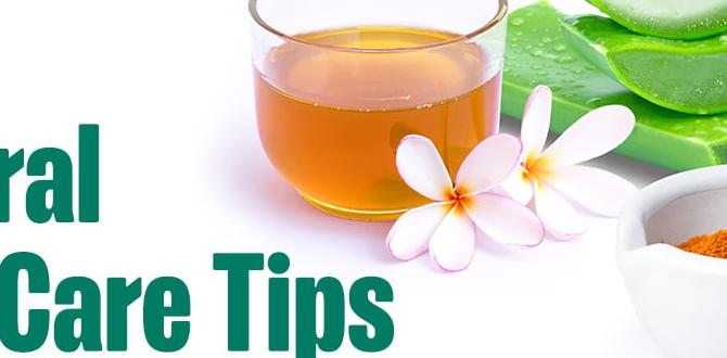 daily natural skin care tips at home daily natural skin care tips at home