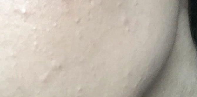 daily skin routine for acne before makeup daily skin routine for acne before makeup