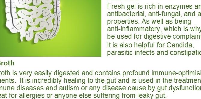 digestive health superfoods digestive health superfoods