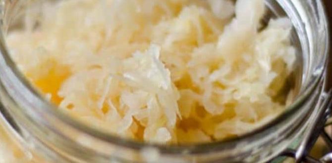 easy fermented food recipes easy fermented food recipes