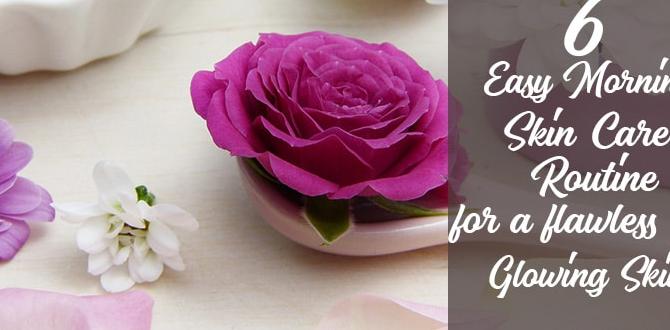 easy morning skin care at home easy morning skin care at home