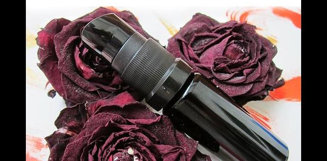 easy skin routine for glowing skin with serum easy skin routine for glowing skin with serum