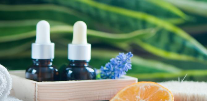 effective natural cellulite removal tips effective natural cellulite removal tips