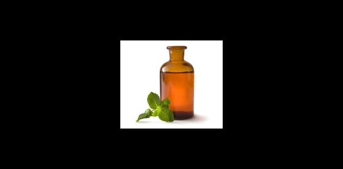 emotional wellbeing aromatherapy blends emotional wellbeing aromatherapy blends