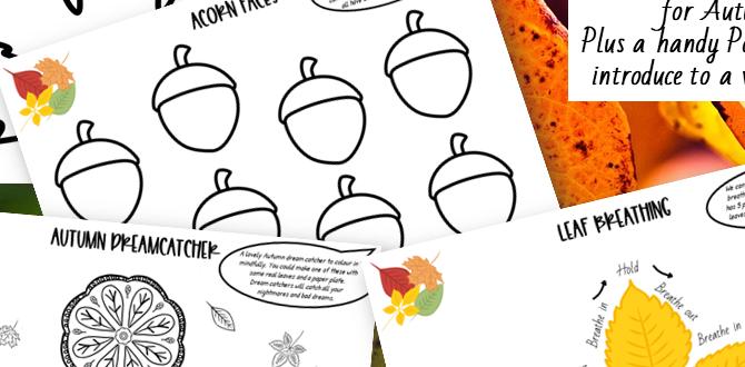 emotional wellbeing autumn activities emotional wellbeing autumn activities