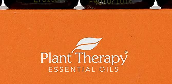 essential oils for relaxation and skin care essential oils for relaxation and skin care