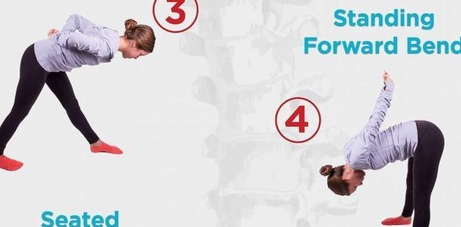 exercises for better posture and body alignment exercises for better posture and body alignment