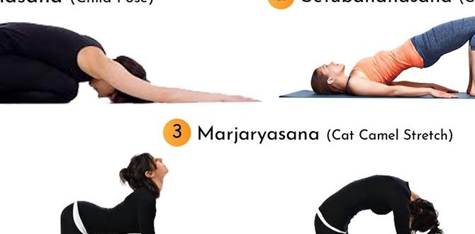 exercises to alleviate back pain at home exercises to alleviate back pain at home
