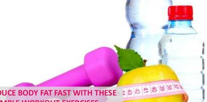 exercises to reduce body fat fast exercises to reduce body fat fast